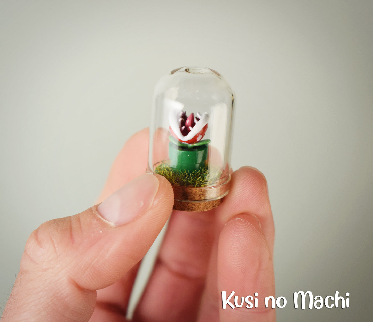 Micro Cloche Plante Carnivore